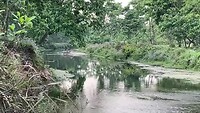 VID-20220327-WA0019