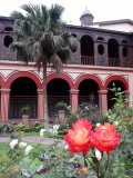 Garden in the Monastry of Lima