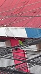 IMG_4873
