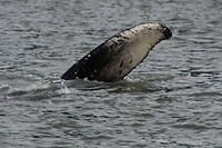 DSC_0052~2