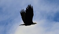 DSC_0029~2