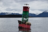 DSC_0089