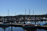 DSC_0108.JPG