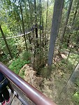 IMG20230519124407