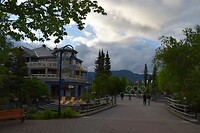 DSC_0103