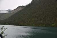 DSC_0264