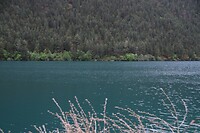 DSC_0265