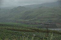 DSC_0278