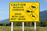 wildlife corridor
