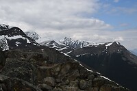 DSC_0494