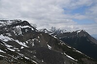 DSC_0498