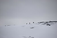 DSC_0506