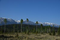 DSC_0520