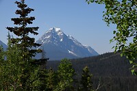 DSC_0527
