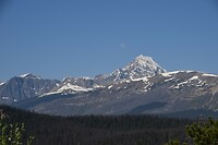DSC_0529