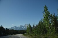 DSC_0532