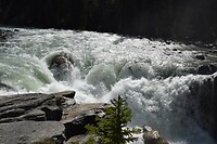 DSC_0570