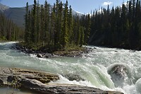 DSC_0572