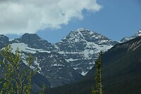 DSC_0593