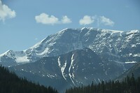 DSC_0594