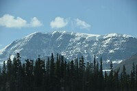 DSC_0595