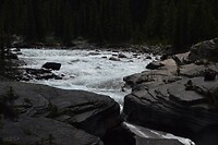 DSC_0745