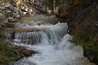 DSC_0843