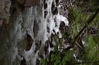 DSC_0022