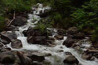 DSC_0024