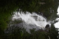 DSC_0026
