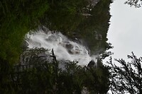 DSC_0030