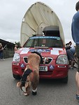 IMG_8882