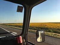 IMG_8956