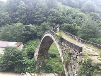 Hoogtevrees