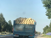 Vrachtwagen vol met ???