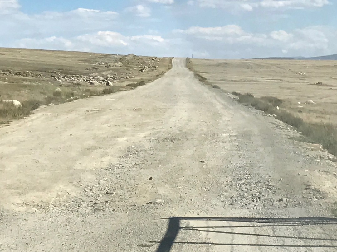 De wegen in Mongolie