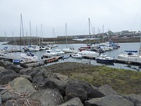 Laagwater in de haven.