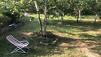 De tuin