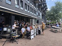 Cotton Band