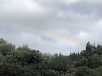 Regenboog