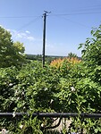 Uitzicht vanaf het terras