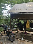 Trouwe fiets erbij