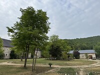 La Cour de la Fleunie