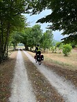 Vertrek van La Cour