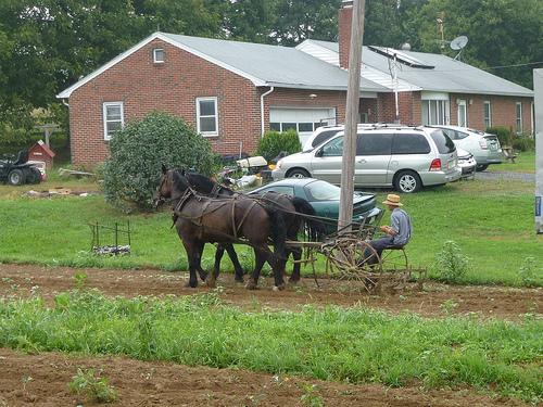 The Amish