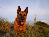 DSCF0402