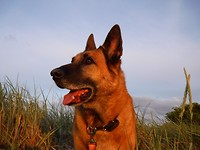 DSCF0403