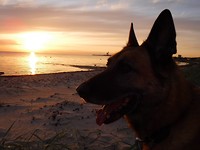 DSCF0410