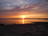 DSCF0418
