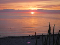 DSCF0433